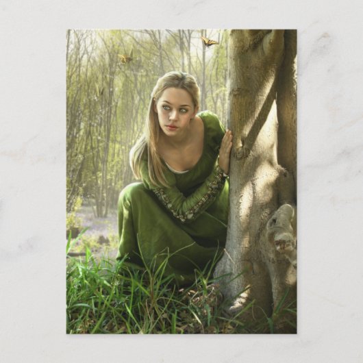 Carte postale Secret Forest (Devant)