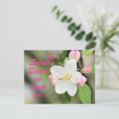 Carte Postale Secret Soeur Apple Blossom - personn (Debout devant)