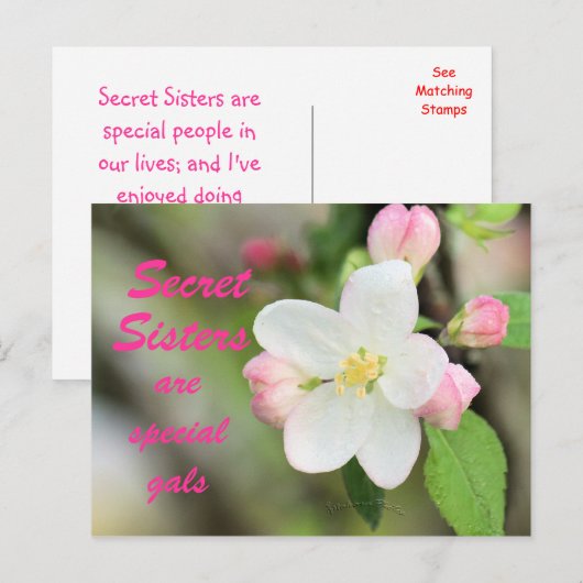 Carte Postale Secret Soeur Apple Blossom - personn (Devant / Derrière)