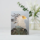 Carte Postale Secrétaire Bird (Debout devant)