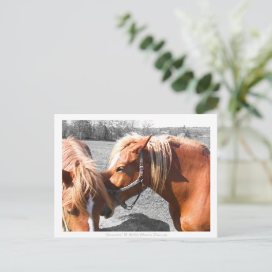 Carte Postale Secrets (Debout devant)