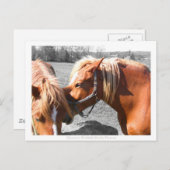 Carte Postale Secrets (Devant / Derrière)