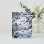 Carte Postale Secteur Pittoresque national de Columbia River Gor (Debout devant)