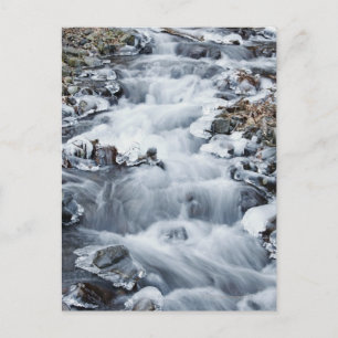 Carte Postale Secteur Pittoresque national de Columbia River Gor