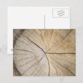 Carte Postale Section transversale du tronc d'arbre (Devant / Derrière)