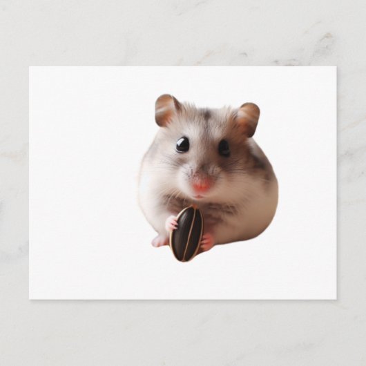 Carte Postale Seeds & Hamsters (Devant)