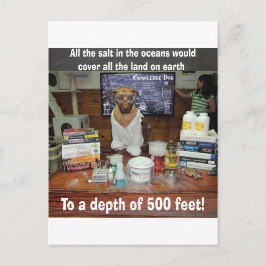 Carte Postale Sel de chien de connaissance dans les océans (Devant)