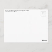 Carte postale Sel Springs (Dos)