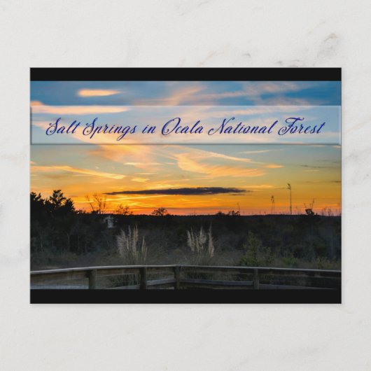 Carte postale Sel Springs (Devant)