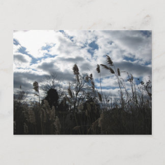 Carte postale Selby-On-The-Bay