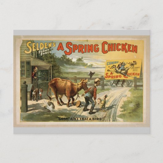 Carte Postale Selden (Devant)