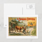 Carte Postale Selden's Funny Farce, A Spring Chicken Play (Devant / Derrière)