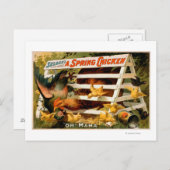 Carte Postale Selden's Funny Farce, A Spring Chicken Play 2 (Devant / Derrière)