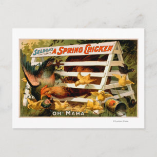 Carte Postale Selden's Funny Farce, A Spring Chicken Play 2