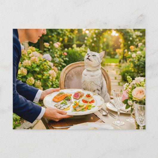 Carte Postale Sélection de morsures de poisson pour chat (Devant)