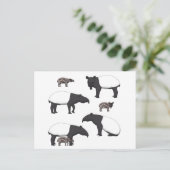 Carte Postale Sélection de Schabrackentapir (Debout devant)