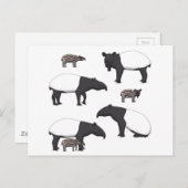 Carte Postale Sélection de Schabrackentapir (Devant / Derrière)