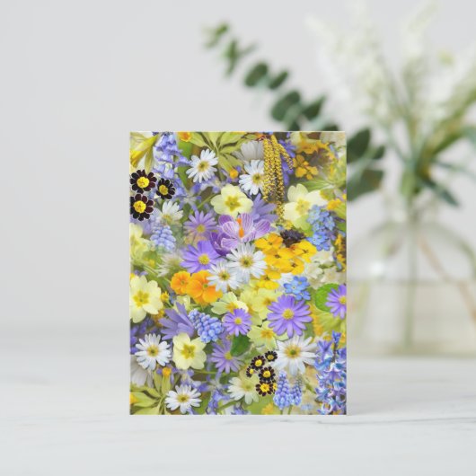 Carte Postale Sélection des fleurs de printemps (Debout devant)