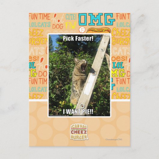 Carte Postale Sélection plus rapidement ! (Devant)