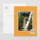 Carte Postale Sélection plus rapidement ! (Devant / Derrière)