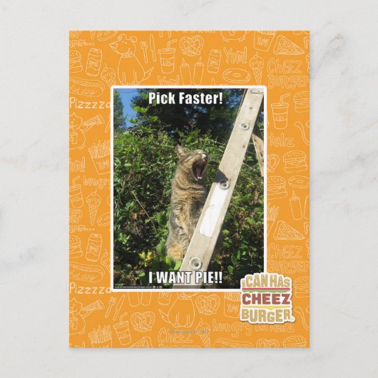 Carte Postale Sélection plus rapidement ! (Devant)
