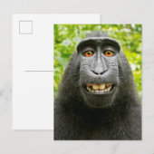 Carte Postale Selfie de singe (Devant / Derrière)