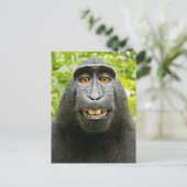 Carte Postale Selfie de singe (Debout devant)