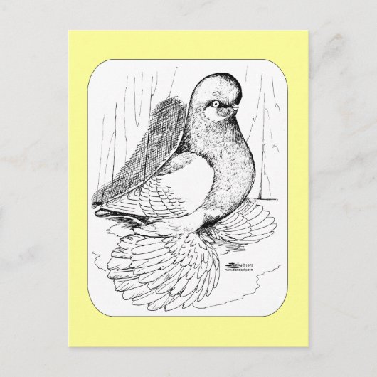 Carte Postale Selle à tambour bouffée 1978 (Devant)