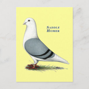 Carte Postale Selle bleue Homer