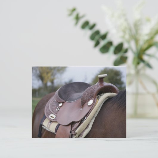 Carte Postale Selle sur un cheval (Debout devant)