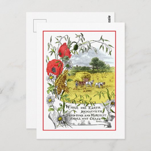 Carte postale semis et récolte (Devant / Derrière)