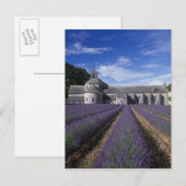 Carte Postale Senanque Abbey, Gordes, Vaucluse, Provence, (Devant / Derrière)