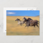 Carte Postale Seneca, Oregon, États-Unis (Devant / Derrière)