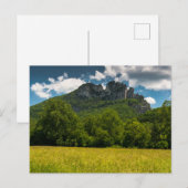 Carte Postale Seneca Rocks en été, Virginie-Occidentale (Devant / Derrière)