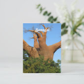 Carte Postale Sénégal (Debout devant)