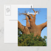 Carte Postale Sénégal (Devant / Derrière)