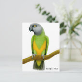 Carte postale Sénégal Parrot (Debout devant)