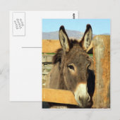 Carte Postale Seno Burro (Devant / Derrière)