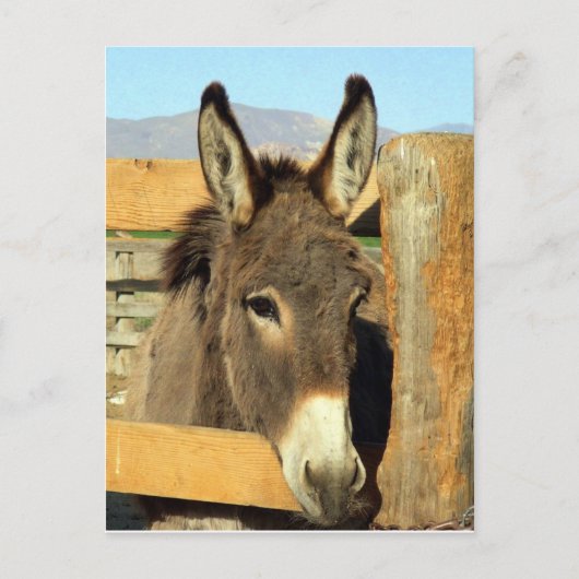 Carte Postale Seno Burro (Devant)