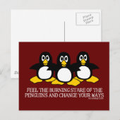 Carte Postale Sentez Le Regard Brillant Des Pingouins (Devant / Derrière)