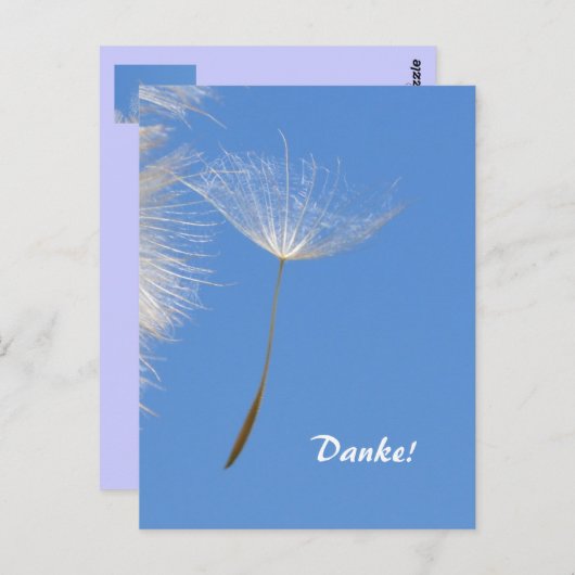 Carte Postale Sentez libre - Flying Dandelion seed (Devant / Derrière)