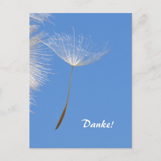 Carte Postale Sentez libre - Flying Dandelion seed (Devant)