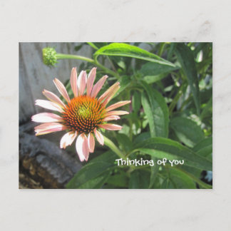 Carte Postale Sentez-vous mieux rose pâle