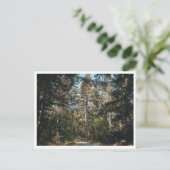 Carte Postale Sentier (Debout devant)