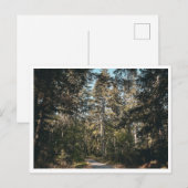 Carte Postale Sentier (Devant / Derrière)