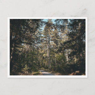 Carte Postale Sentier