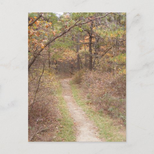 Carte Postale sentier appalachien chute pennsylvanie (Devant)
