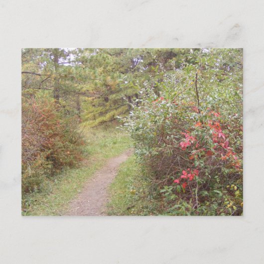 Carte Postale sentier appalachien chute pennsylvanie (Devant)
