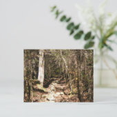 Carte Postale sentier appalachien pennsylvanie (Debout devant)