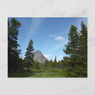 Carte Postale Sentier Aster Park dans le parc national de Glacie